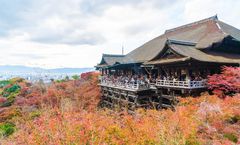 ทัวร์ญี่ปุ่น โอซาก้า เกียวโต ทาคายาม่า นั่งกระเช้า Gozaisho Ropeway วัดคิโยมิสึ หมู่บ้านชิราคาวาโกะ เทศกาลงานประดับไฟ Nabana no Sato