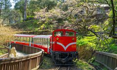 ทัวร์ไต้หวัน ไทจง หนานโถว ไทเป อุทยานอาหลีซาน หมู่บ้านโบราณจิ่วเฟิ่น อุทยานเกาะเหอผิง หมู่บ้านประมงหลากสี ตึกไทเป 101