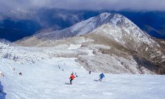ทัวร์ออสเตรเลีย ซิดนีย์ เมลเบิร์น เกาะฟิลลิป อุทยานบลูเม้าท์เท่นส์ สวนฟิตซรอย เมาท์บูลเลอร์ นั่งรถไฟจักรไอน้ำโบราณ