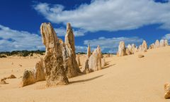 ทัวร์ออสเตรเลีย เพิร์ท ป่าหินพินนาเคิล CAVERSHAM WILDLIFE PARK สวอนวัลเล่ย์ พักใจกลางเมือง