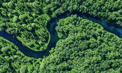 ทัวร์บราซิล อเมซอน ล่องเรือสำราญสุดหรู RV Brasilian Dream แม่น้ำสองสี สำรวจสัตว์ป่าและพืชพรรณแห่งอเมซอน 