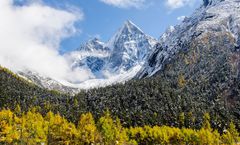 ทัวร์จีน เฉิงตู อุทยานปี้เผิงโกว สวนดอกไม้ Manhua Manor ตึกแฝดเฉิงตู วัดต้าฉือ จตุรัสหย่างเทียนวู่