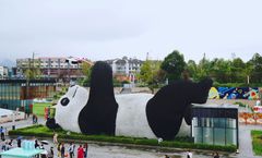 ทัวร์จีน เฉิงตู ตูเจียงเยี่ยน นั่งกระเช้าภูเขาหิมะวาวู่ ธารน้ำสีฟ้า สะพานอันซุน รูปปั้นแพนด้าเซลฟี่ ไม่เข้าร้านรัฐบาล