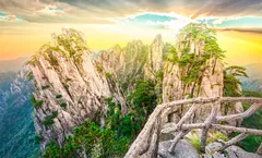 ทัวร์จีน เซี่ยงไฮ้ หางโจว เส้าซิง อุทยานภูเขาหวงซาน หมู่บ้านโบราณหงชุน หาดไว่ทาน ทะเลสาบซีหู ไม่เข้าร้านรัฐบาล