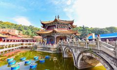 ทัวร์จีน คุนหมิง ชมซากุระวัดหยวนทง ภูเขาหิมะเจียวจื่อ สวนน้ำตกคุนหมิง ไร่สตรอเบอรี่ ถนนคนเดินหนานผิงเจี่ย