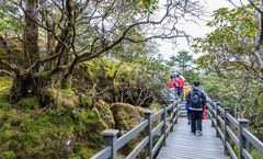 ทัวร์จีน คุนหมิง ภูเขาหิมะเจี้ยวจื่อ สวนดอกไม้ตามฤดูกาล ตำหนักทองจินเตี้ยน สวนน้ำตกคุนหมิง