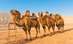 ทัวร์จีน มองโกเลียใน บินตรงออร์ดอส เนินทรายเสี่ยงซาวาน ทะเลสาบอูลาน ทุ่งหญ้าออร์ดอส อุทยานภูเขาไฟอูลันดา