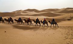 ทัวร์จีน มองโกเลียใน บินตรงออร์ดอส อุทยานหุบเขาคลื่น ทุ่งหญ้าออร์ดอส ขี่อูฐทะเลทรายเสียงซาวาน ไม่เข้าร้านรัฐบาล 