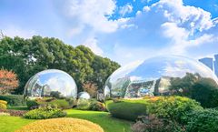 ทัวร์จีน เซี่ยงไฮ้ The North Bund Green Land เมืองโบราณจูเจียเจี่ยว ตลาดร้อยปีเฉินหวังเมี่ยว อิสระเต็มวัน