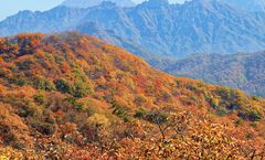 โปร 10.10 ลด 600/ที่ , รูดบัตรไม่ชาร์จ , ผ่อน 0% จองภายใน 10-28 ต.ค. ทัวร์จีน เฉิงตู ภูเขากวงอู้ซาน วัดหลิงฉวน วัดกว่างเต๋อ ถ้ำหินแกะสลักหนานคัน เมืองโบราณหลางจง ไม่เข้าร้านรัฐบาล