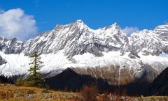 ลด 600/ที่ รูดบัตรไม่ชาร์จ,ผ่อน0% จองภายใน 11พ.ย.-25ธ.ค.68 : ทัวร์จีน เฉิงตู ฉงชิ่ง อู่หลง ภูเขาสี่ดรุณี อุทยานหลุมฟ้าสะพานสวรรค์ สะพานหนานเฉียว รถไฟทะลุตึก ไม่เข้าร้านรัฐบาล