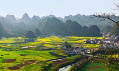 ทัวร์จีน คุนหมิง ซิงอี้ ป่าภูเขาหมื่นยอด หมู่บ้านเมืองโบราณปู้อี สวนดอกไม้ตามฤดูกาล ล่องเรือทะเลสาบว่านเฟิงหู