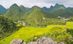 ทัวร์จีน คุนหมิง โหลวผิง หุบเขาหมื่นยอด ซากุระเขาอี๋เหลียง ทุ่งดอกมัสตาร์ด วัดหยวนทง ป่าหินงามซือหลิน