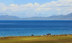 ทัวร์จีน ซินเจียงเหนือ อูลู่มู่ฉี อี้หนิง แกรนด์แคนยอนตู๋ซานจื่อ เขาฝูโซ่วซาน ทะเลสาบไซ่หลี่มู่ ทุ่งหญ้านาลาถี ไม่เข้าร้านรัฐบาล