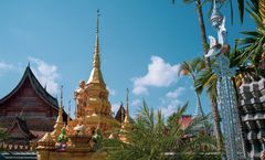 ทัวร์จีน สิบสองปันนา จิ่งหง วัดหลวงเมืองลื้อ หมู่บ้านไทลื้อบ้านหัวนา เก้าจวงซีซวงจิ่ง อุทยานป่าฝนเขตร้อน 