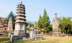 ทัวร์จีน เจิ้งโจว เติงเฟิง ไคเฟิง สวนชิงหมิงซั่งเหอหยวน พิพิธภัณฑ์เหอหนาน ชมดอกไม้ตามฤดูกาล อิสระเต็มวัน