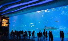 ทัวร์จีน กวางเจา จูไห่ สวนสนุก Chimelong Ocean Kingdom (รวมบัตร) วัดต้าฝอ โรงละครโอเปร่าหอยไข่มุก