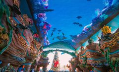 ทัวร์จีน กวางเจา จูไห่ สวนสนุก Chimelong Ocean Kingdom(รวมบัตร) วัดต้าฝอ พระราชวังหยวนหมิง โรงละครหอยไข่มุก