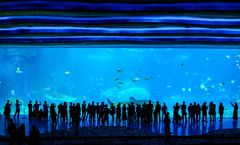 ทัวร์จีน กวางโจ่ว จูไห่ สวนสนุกฉางหลง Chimelong Ocean Kingdom วัดต้าฝอ จัตุรัสฮัวเฉิง โรงละครหอยไข่มุก