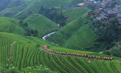 ทัวร์จีน บินตรงกุ้ยหลิน หลงเซิ่น หยางซั่ว นาข้าวขั้นบันไดหลงจี๋ เขางวงช้าง เจดีย์เงินเจดีย์ทอง ล่องแพไม้ไผ่ ไม่เข้าร้านรัฐบาล