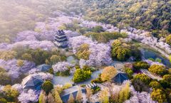 ทัวร์จีน เซี่ยงไฮ้ อู๋ซี ซูโจว เกาะหัวเต่า เมืองโบราณซานหลีถัง สวนสนุกดิสนีย์แลนด์(รวมบัตร) อิสระเต็มวัน ไม่เข้าร้านรัฐบาล