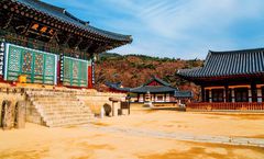 ทัวร์เกาหลี ปูซาน แทกู หมู่บ้านวัฒนธรรมคัมชอน ปูซานทาวเวอร์ วัดแฮดงยงกุงซา หมู่บ้านอซกล วัดดงฮวาซา