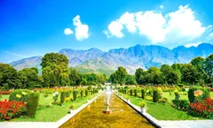 ทัวร์อินเดีย แคชเมียร์ พาฮาลแกม สวนโมกุล ทุ่งดอกมัสตาร์ด ทะเลสาบดาล สวนชาลิมาร์ เทือกเขากุลมาร์ค