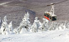 ทัวร์ญี่ปุ่น เซนได อาโอโมริ ชม SNOW MONSTER เทือกเขาฮักโกดะ กิจกรรมลานสกี วัดชูซอนจิ ปราสาทฮิโรซากิ