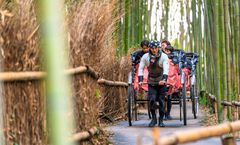 ทัวร์ญี่ปุ่น สงกรานต์ โอซาก้า โตเกียว ชมซากุระอาคารศิลปะคิโยฮารุ นั่งรถลากอาราชิยาม่า ราคารวมทุกอย่างแล้ว