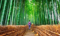 ทัวร์ญี่ปุ่น โอซาก้า เกียวโต ป่าไผ่อาราชิยาม่า วัดคินคะคุจิ ปราสาทโอซาก้า ย่านชินไซบาชิ อิสระเต็มวัน