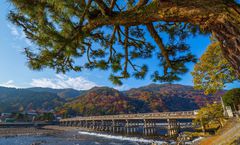 ทัวร์ญี่ปุ่น โอซาก้า ทาคายาม่า อาราชิยาม่า สะพานโทเง็ตสึเคียว สวนป่าไผ่อาราชิยาม่า หมู่บ้านชิราคาวาโกะ ปราสาทโอซาก้า