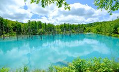 ทัวร์ญี่ปุ่น ฮอกไกโด ชมซากุระสวนเทมิยะ สวนสาธารณะมารุยามะ หมู่บ้านนิงเกิ้ลเทอเรส บ่อน้ำสีฟ้า เนินแห่งพระพุทธเจ้า อิสระเต็มวัน 