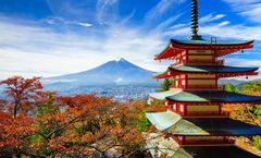 ทัวร์ญี่ปุ่น สงกรานต์ โตเกียว อิบารากิ เจดีย์แดงชูเรโต พระใหญ่อุชิคุไดบุตสึ สวนดอกไม้ฮิตาชิ ซีไซด์ปาร์ค อิสระเต็มวัน