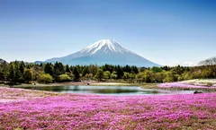 ทัวร์ญี่ปุ่น เกียวโต โอซาก้า วัดเซนโซจิ สวนอุเอโนะ กำแพงหิมะ หมู่บ้านโอชิโนะฮัคไค ชมเทศกาลชมดอกชิบะซากุระ