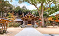 ทัวร์ญี่ปุ่น ฟุกุโอกะ ชมใบไม้เปลี่ยนสี ศาลเจ้าคามาโดะ วัดนันโซอิน ปราสาทโคคูระ หมู่บ้านยูฟูอิน อิสระเต็มวัน