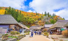 ทัวร์ญี่ปุ่น นิกโก้ โตเกียว หมู่บ้านโออุจิจูคุ น้ำตกเคง่อน ทะเลสาบโกชิคินุมะ ฮิตาชิซีไซด์ปาร์ค อิสระเต็มวัน