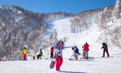 ทัวร์เกาหลี โซล เมียงดง ชองดัมดง กิจกรรมเล่นสกี สวนสนุกล๊อตเต้เวิร์ล บ้านโบราณอึนพยอง หอคอยโซล พักสกีรีสอร์ท 1 คืน 