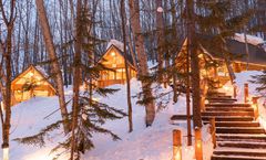 ทัวร์ญี่ปุ่น ฟุราโน่ นิงเกิ้ลเทอเรส ศาลเจ้าฮอกไกโด สวนสัตว์อาซาฮิยามะ ชิคาโออิกิจกรรมลานหิมะ