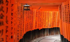 ทัวร์ญี่ปุ่น โอซาก้า เกียวโต ศาลเจ้าฟูชิมิ อินาริ อามาโนะฮาชิดาเตะ ปราสาทโอซาก้า พักแช่ออนเซ็น 1 คืน อิสระเต็มวัน 