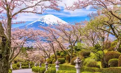 ทัวร์ญี่ปุ่น โตเกียว ชมซากุระสวนสันติภาพเฮวะ หมู่บ้านโอชิโนะฮักไก ภูเขาไฟฟูจิ วัดอาซากุสะ พักออนเซ็น