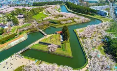 ทัวร์ญี่ปุ่น ฮอกไกโด ซับโปโร ชมซากุระสวนสาธารณะโกเรียวคาคุ พระใหญ่อะตะมะไดบุตสึ อุทยานโมอาย อิสระเต็มวัน