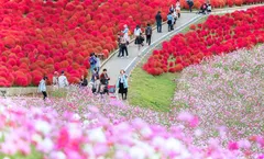 ทัวร์ญี่ปุ่น โตเกียว ใบไม้เปลี่ยนสี สวนดอกไม้ฮิตาชิซีไซด์ ล่องเรือชมอ่าวฮิบะระ น้ำตกฟุคุโรดะ พักออนเซ็น 2 คืน 