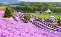 ทัวร์ญี่ปุ่น ฮอกไกโด อาซาฮียาม่า ชมทุ่งชิบะซากุระสวนฮิกาชิโมโกโตะ กระเช้าคุโระดะเคะ ราคารวมทุกอย่างแล้ว