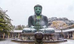 ทัวร์ญี่ปุ่น โตเกียว วัดอาซากุสะ พระใหญ่ไดบุตสึ โกดังอิฐสีแดงโยโกฮาม่า สวนโออิชิ ปาร์ค ย่านชินจูกุ อิสระเต็มวัน 