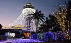 โปร 9.9 ลด 900บาท/ที่ รูดบัตรไม่ชาร์จ,ผ่อน0% จองภายใน 9-23ก.ย. ทัวร์ญี่ปุ่น โตเกียว คามาคุระ ศาลเจ้าสีรุงะโอะกะฮะจิมัง ฟูจิเท็นสกีรีสอร์ท เทศกาล Enoshima Winter Illumination อิสระเต็มวัน