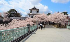 ทัวร์ญี่ปุ่น ฟุคุอิ โอซาก้า ชมซากุระอุทยานปราสาทคานาซาวะ สวนเคนโระคุเอ็น ปราสาทโอซาก้า อิสระเต็มวัน