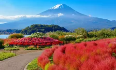 ทัวร์ญี่ปุ่น โอซาก้า โตเกียว สวนโออิชิปาร์ค วัดอาซะกุซ่า ป่าไผ่ วัดคิโยมิสึ ปราสาทโอคาซากิ อิสระเต็มวัน