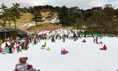 ทัวร์ญี่ปุ่น โอซาก้า โกเบ เกียวโต Rokko Snow Park วัดคินคะคุจิ ปราสาทโอซาก้า ถ่ายรูปกับป้ายกูลิโกะแมน