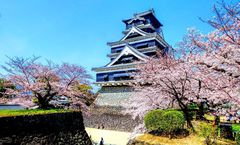 ทัวร์ญี่ปุ่น ฟุกุโอกะ เบปปุ ศาลเจ้าดะไซฟุ ปราสาทคุมาโมโตะ หมู่บ้านยุฟุอิน ทุ่งหญ้าคุซะเซนริ อิสระเต็มวัน