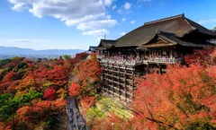 ทัวร์ญี่ปุ่น โอซาก้า เกียวโต ใบไม้เปลี่ยนสี วัดคิโยมิซุ ปราสาทโอซาก้า ศาลเจ้าฟูชิมิ อินาริ อิสระเต็มวัน